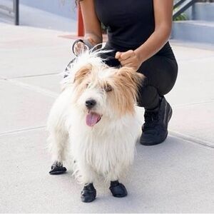 All-Weather Waterproof Dog Shoes, Anti-Slip - New